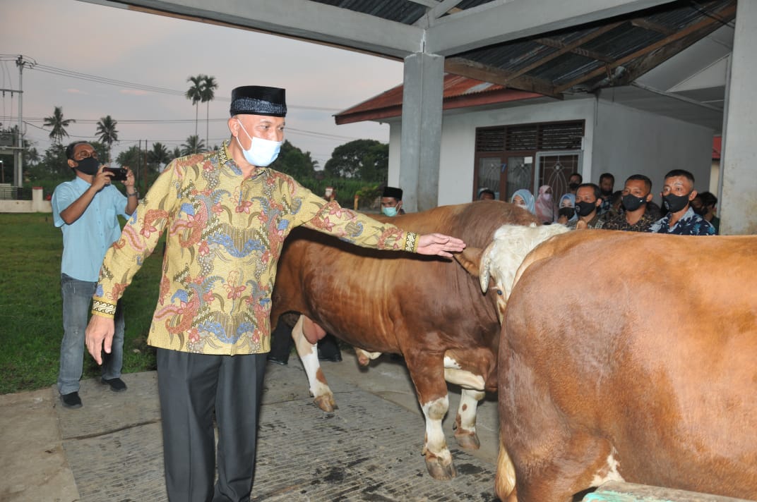 Gubernur Mahyeldi Bangga BPTSD Tuah Sakato Hasilkan PAD